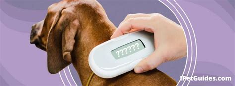 nfc reader to read a dog microchip|how to scan a dog microchip.